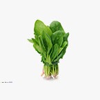 Vegetable