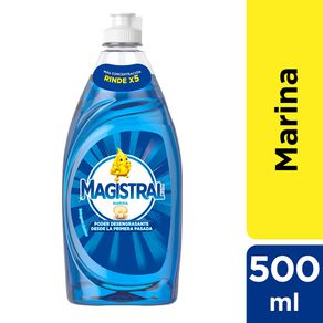 Detergente magistral 500 ml