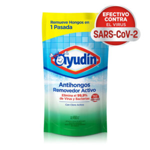 Ayudin antihongos d/p 450 ml